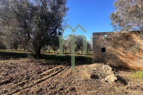Ruinere i Brindisi, Brindisi, Brindisi - € 68.000 | Ref: Casolare Bern - foto 26